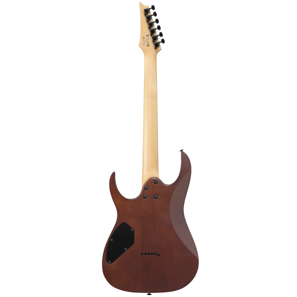 Chitarra elettrica Ibanez GRG121DXWNF Walnut Flat