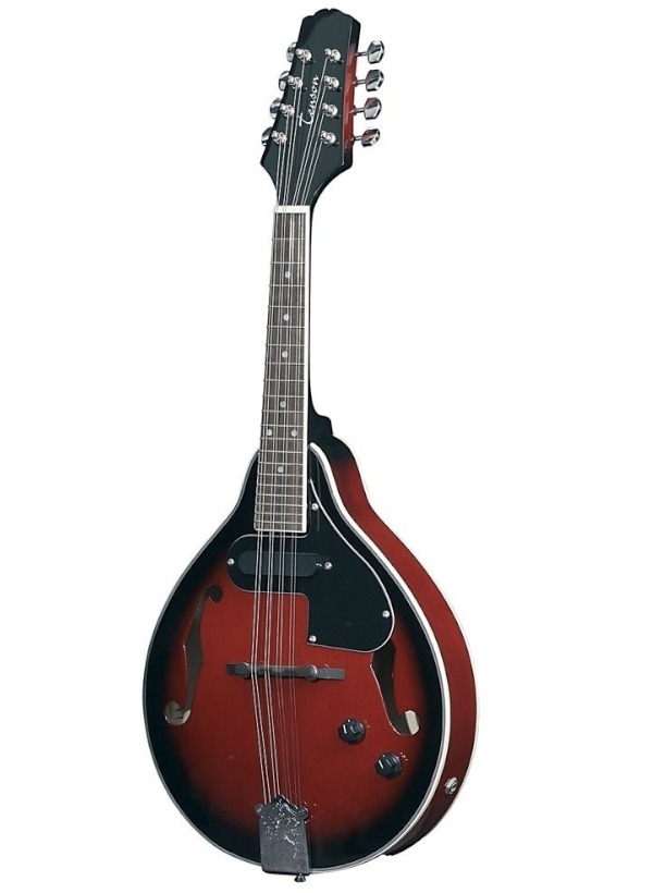 Mandolino ovale elettrificato Tenson con custodia