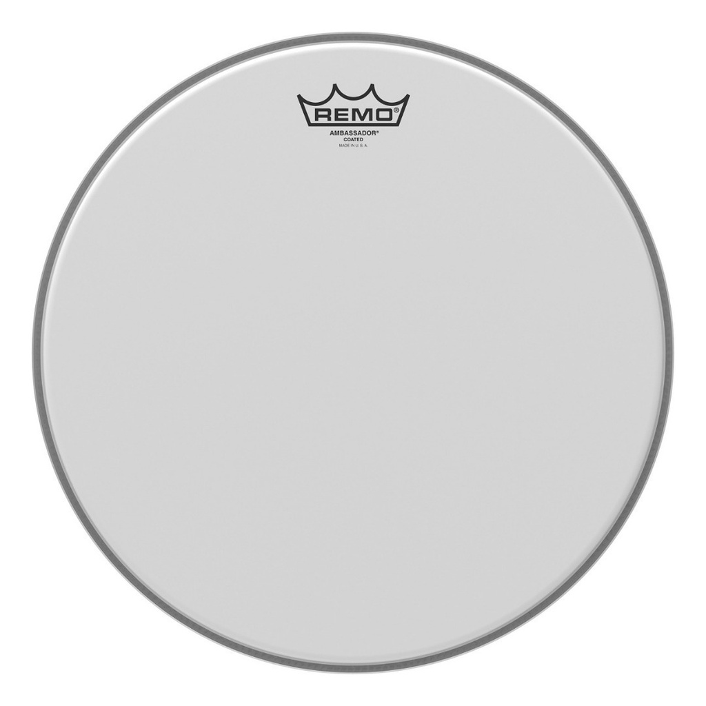 Pelle Remo Ambassador sabbiata 8