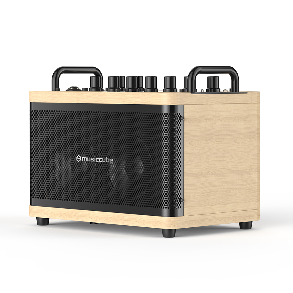 Amplificatore portatile 50Watt Music Cube Tiny Box D2