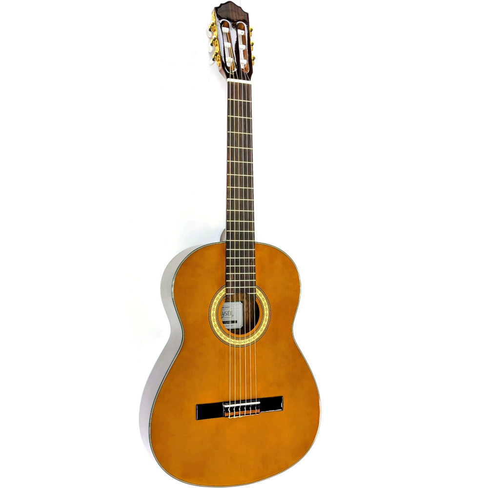 Chitarra classica 4/4 Alysee CL200G