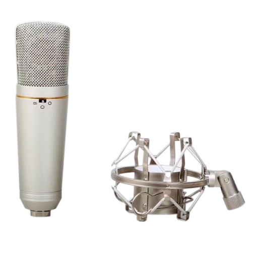 [PA C34 PRO] Microfono da studio Audiodesign PA C34 PRO