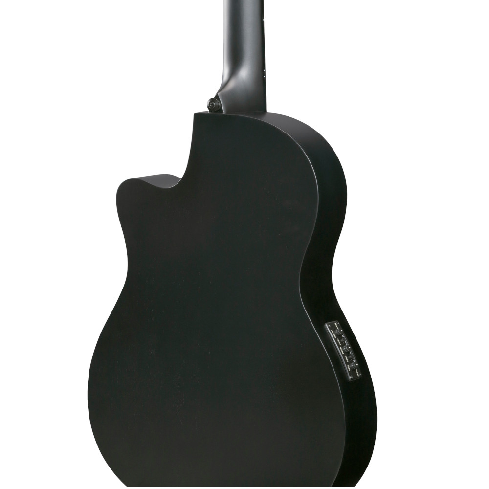 Chitarra classica elettrificata Ibanez GA621BOT