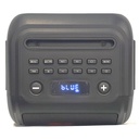 Diffusore portatile Audiodesign Party Speaker DJ206 Smart
