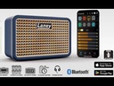 Mini amplificatore per chitarra e basso Laney PRISM-MINI-BL