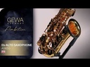 Sax alto Gewa Ambition AS650
