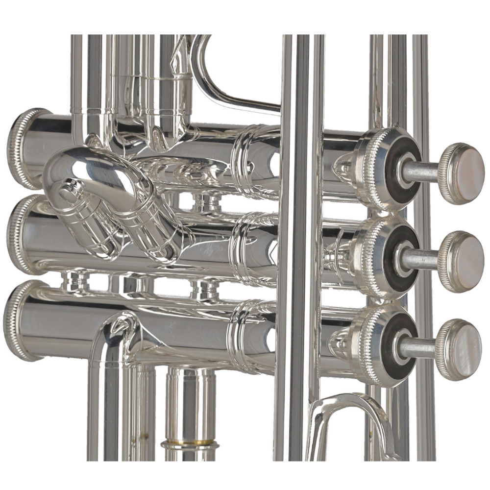Tromba Gewa Ambition TR501S