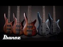 Basso elettrico Ibanez SR500AMHL
