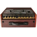 Amplificatore portatile per chitarra acustica Audiodesign Pro Gipsy 8 MK2