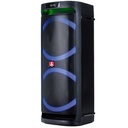 Diffusore portatile Audiodesign Party Speaker DJ206