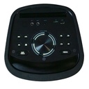 Diffusore portatile Audiodesign Party Speaker DJ206