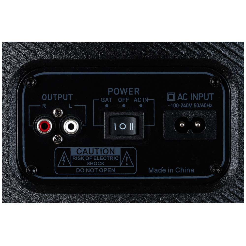 Diffusore portatile Audiodesign Party Speaker DJ206
