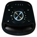 Diffusore portatile Audiodesign Party Speaker DJ208