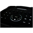 Diffusore portatile Audiodesign Party Speaker DJ212S