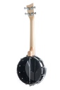 Banjo Ukulele concerto Gewa Manoa B-CO-A