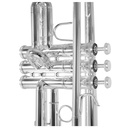 Tromba SiB Bach TR501SD