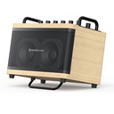Amplificatore portatile 50Watt Music Cube Tiny Box D2