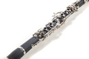 Clarinetto Roy Benson SIb CB218