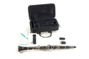Clarinetto Roy Benson SIb CB218
