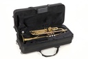 Tromba Roy Benson SIb TR101