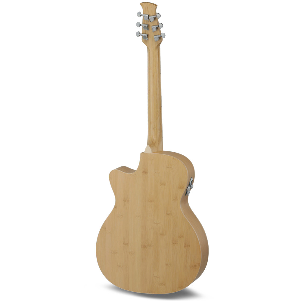 Chitarra acustica elettrificata Applause Jump Blank Canvas