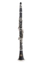 Clarinetto Roy Benson SIb CB218 Back To School