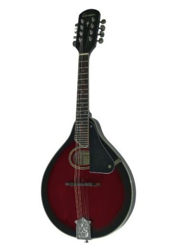 Mandolino ovale Tenson con custodia