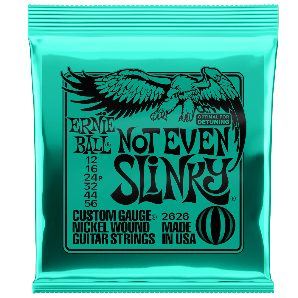 Muta chitarra elettrica Ernie Ball 012/056