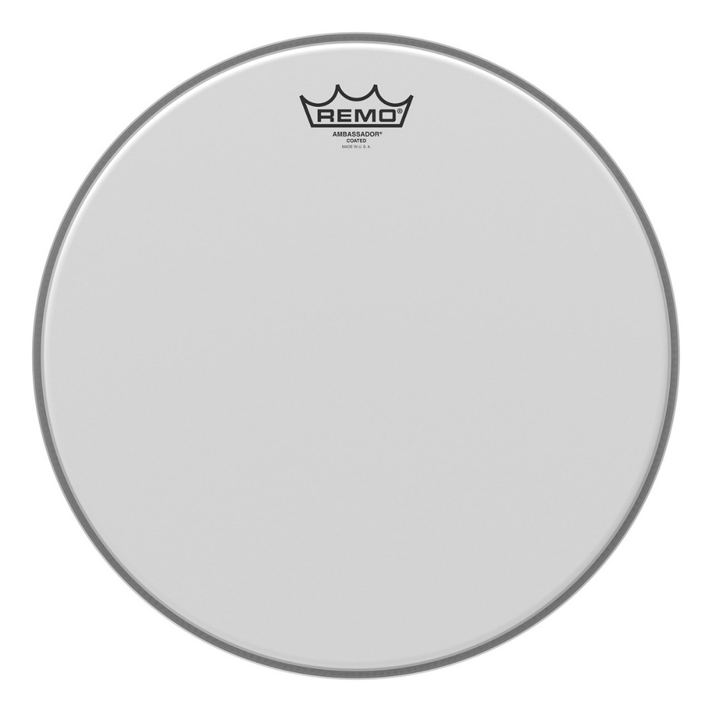 Pelle Remo Ambassador sabbiata  14