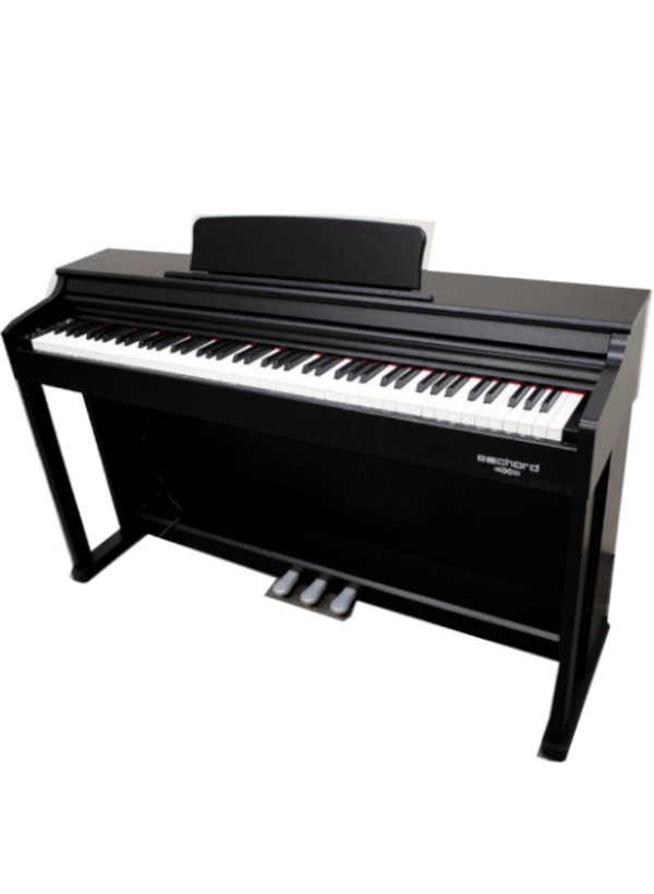 Pianoforte digitale Echord DPX100 Black S