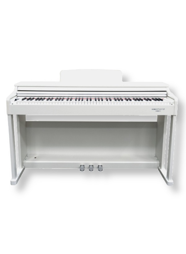 Pianoforte digitale Echord DPX100 White Black Friday