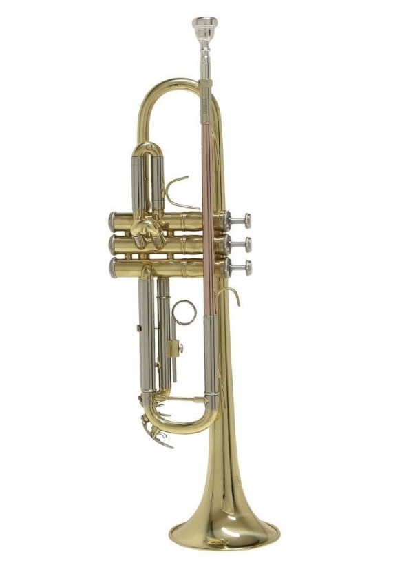 Tromba Bach in SIb TR650