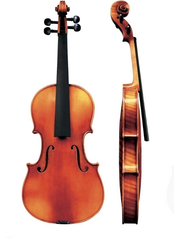Violino Gewa Liuteria Maestro 6 Antico