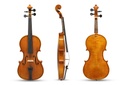 Violino Liuteria Gewa Georg Walther fiammatura pregiata