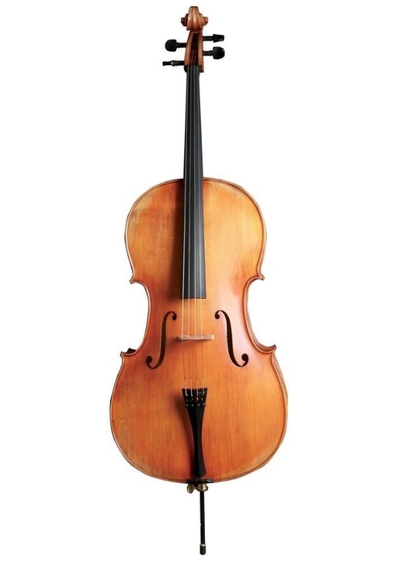 Violoncello Liuteria Gewa Germania 11 Made in Germany