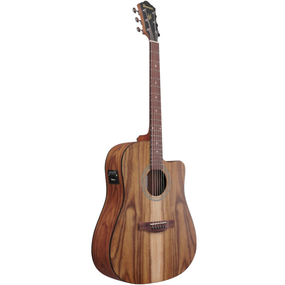 Chitarra acustica elettrificata Ibanez V40WSCEOPB