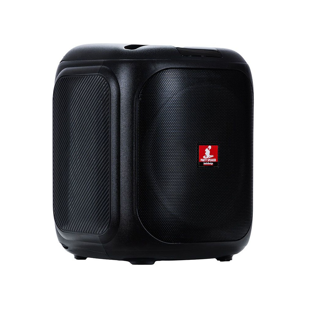 Diffusore portatile Audiodesign Party Speaker DJ107