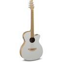 Chitarra acustica elettrificata Applause Jump Blank Canvas