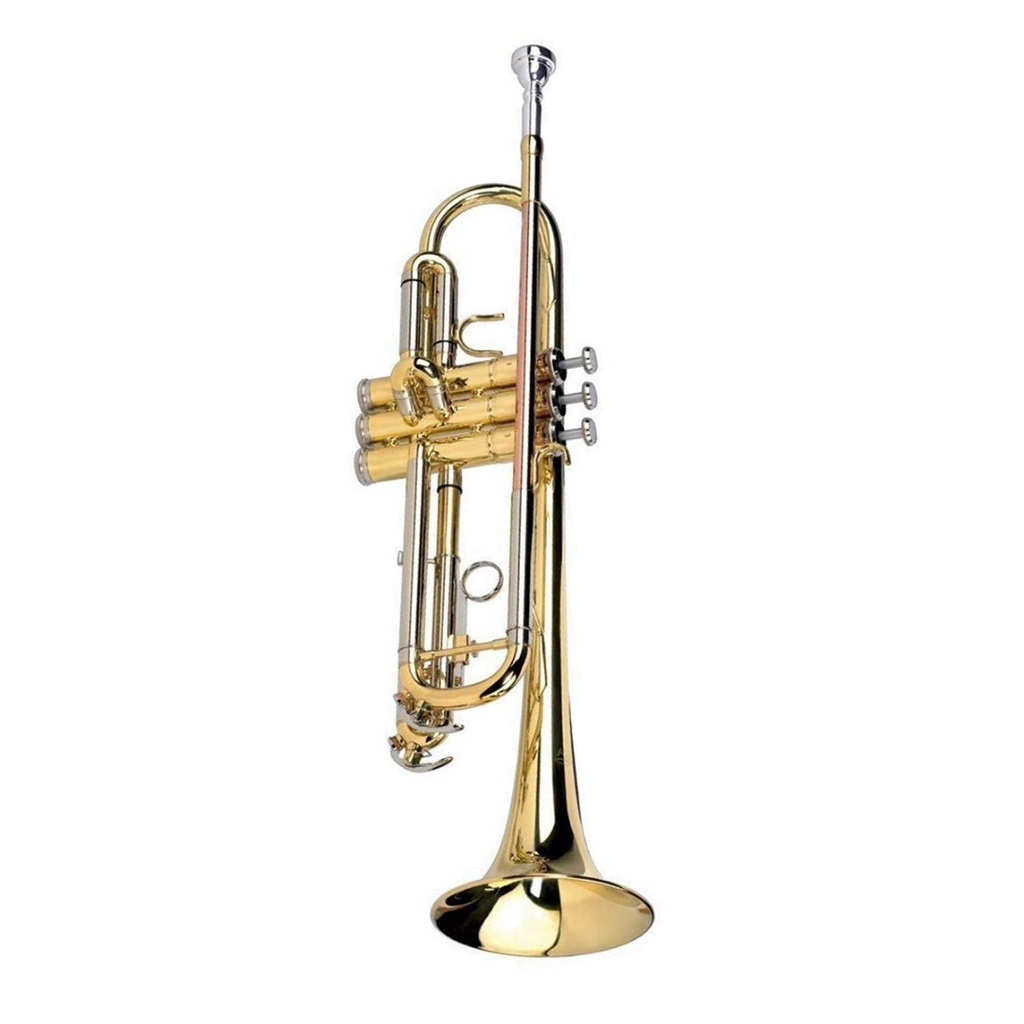 Tromba Alysee TR4333