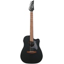 Chitarra acustica elettrificata Ibanez ALT20WK
