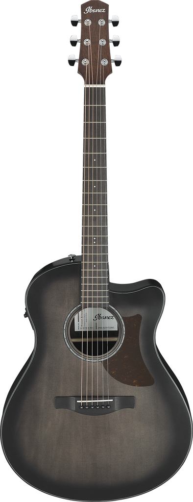 Chitarra acustica elettrificata Ibanez  AAM70CETBN