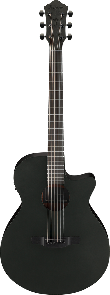 Chitarra Ibanez AEG621BOT