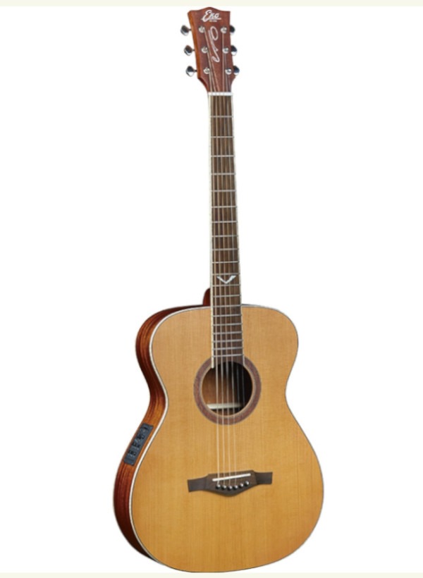 Chitarra Baritona elettrificata EKO EVO A350e