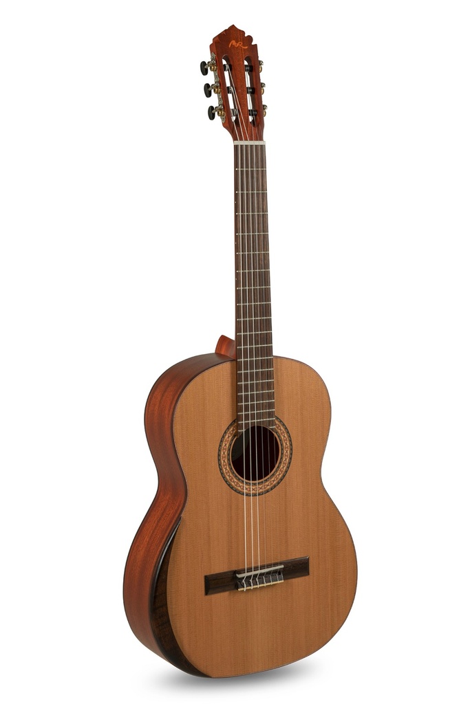 Chitarra classica Manuel Rodriguez Serie Tradicion T65