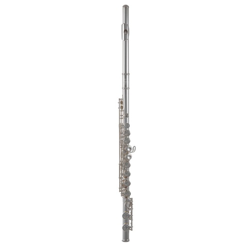[RB700403] Flauto traverso Roy Benson FL402E BACK TO SCHOOL