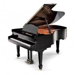 [S187H] Noleggio pianoforte a coda Schulze Pollmann s187 completo di panca e accordatura sul posto
