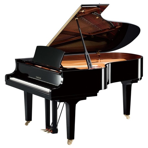 [C5nol] Noleggio pianoforte a coda Yamaha C5 completo di panca e accordatura sul posto