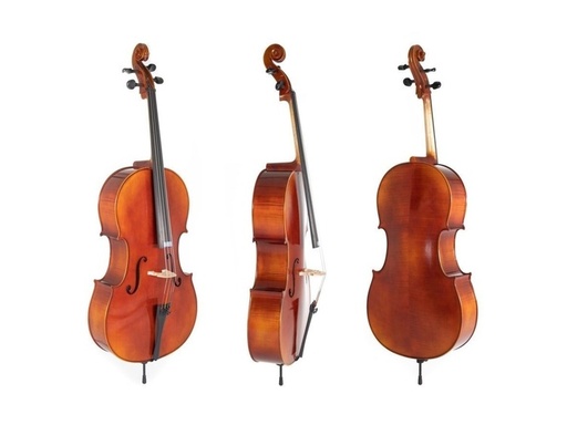 [231564825] Noleggio violoncello Gewa