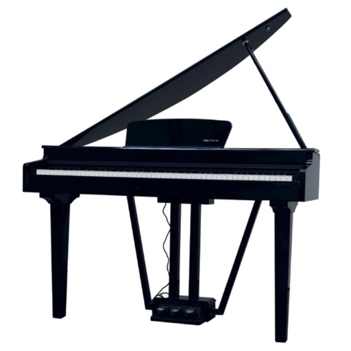 [GP10B] Gran Piano Echord GP10 Black