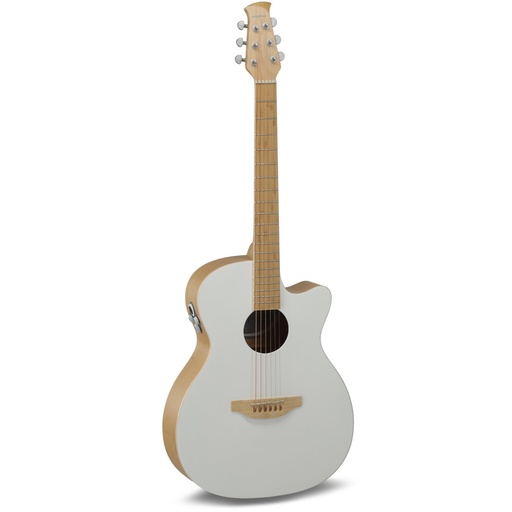 [AP510129] Chitarra acustica elettrificata Applause Jump Blank Canvas